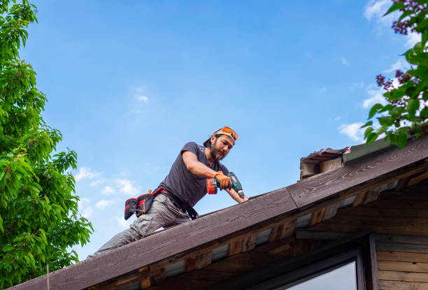 Trusted June Park, FL Roofing services Experts