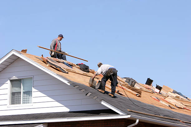 Best Emergency Roof Repair Services  in June Park, FL